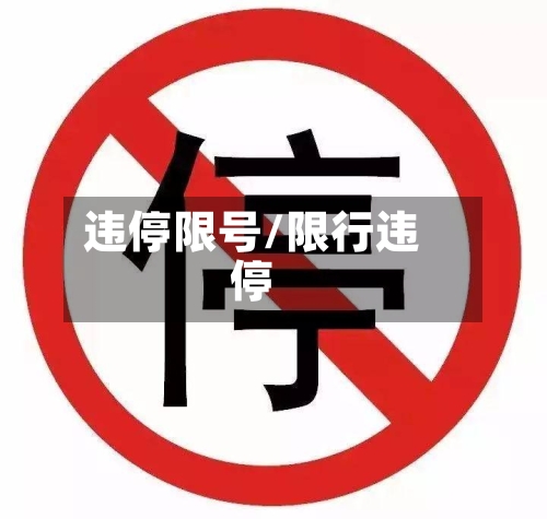 违停限号/限行违停