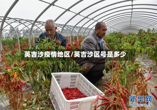英吉沙疫情地区/英吉沙区号是多少
