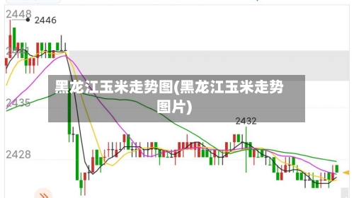 黑龙江玉米走势图(黑龙江玉米走势图片)
