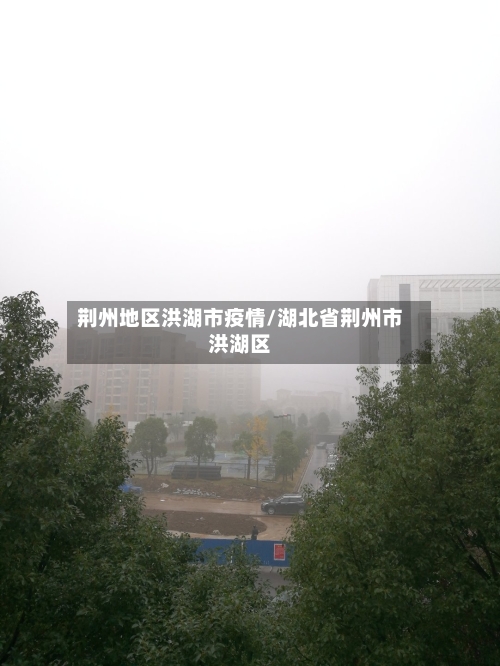 荆州地区洪湖市疫情/湖北省荆州市洪湖区
