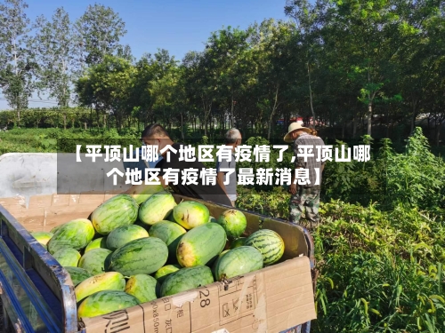 【平顶山哪个地区有疫情了,平顶山哪个地区有疫情了最新消息】