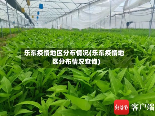 乐东疫情地区分布情况(乐东疫情地区分布情况查询)