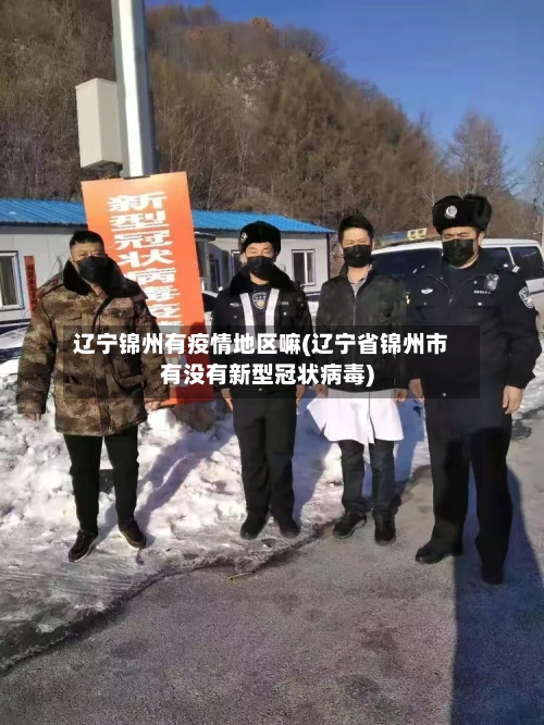 辽宁锦州有疫情地区嘛(辽宁省锦州市有没有新型冠状病毒)