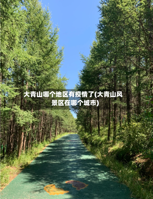 大青山哪个地区有疫情了(大青山风景区在哪个城市)
