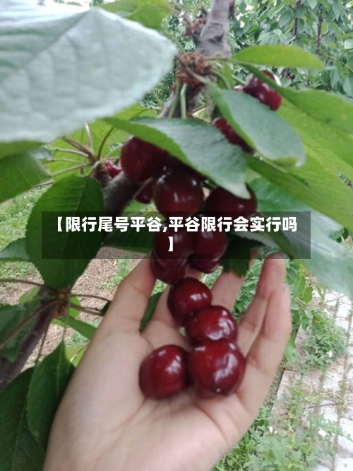 【限行尾号平谷,平谷限行会实行吗】