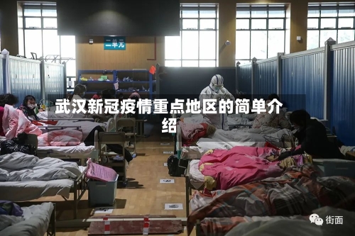 武汉新冠疫情重点地区的简单介绍