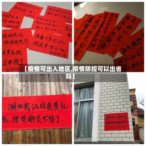 【疫情可出入地区,疫情防控可以出省吗】