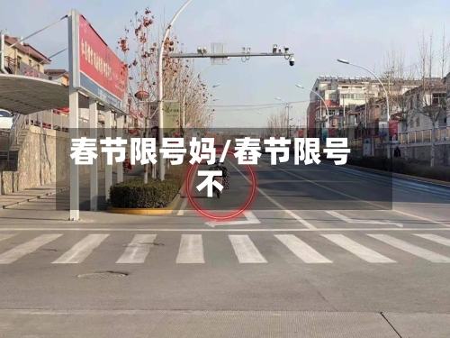 春节限号妈/舂节限号不