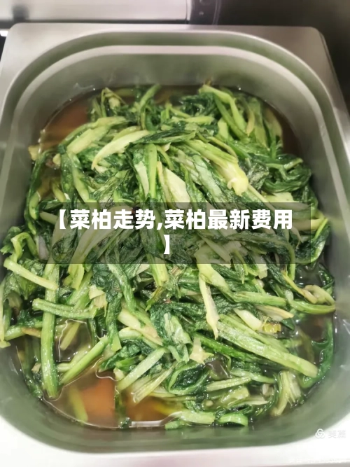 【菜柏走势,菜柏最新费用】