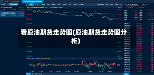 看原油期货走势图(原油期货走势图分析)