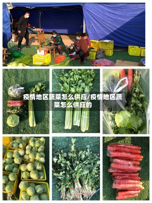 疫情地区蔬菜怎么供应/疫情地区蔬菜怎么供应的