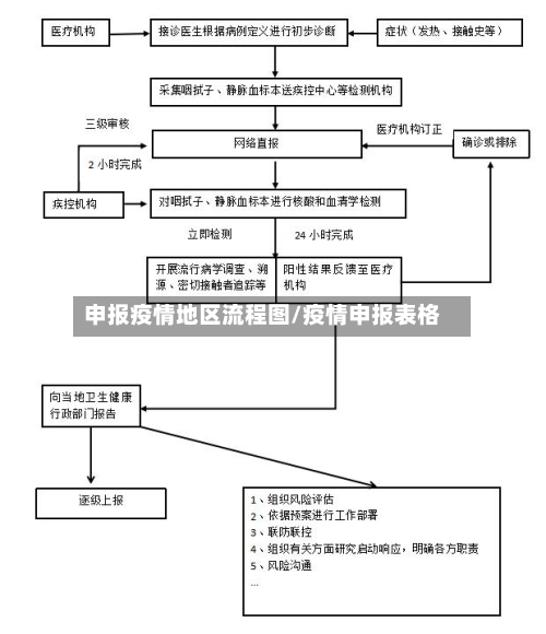 申报疫情地区流程图/疫情申报表格