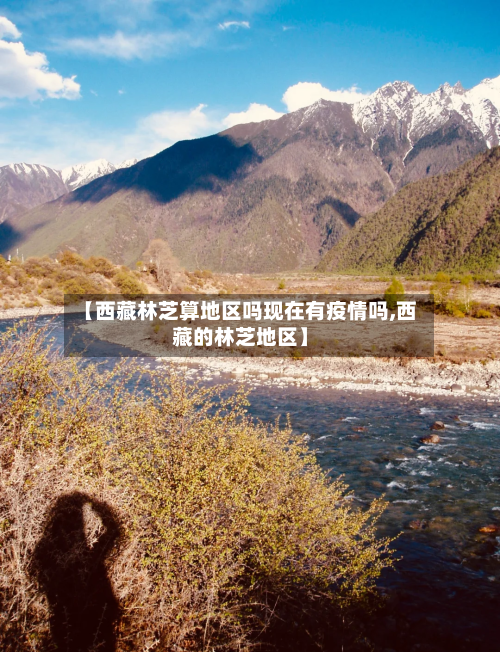【西藏林芝算地区吗现在有疫情吗,西藏的林芝地区】