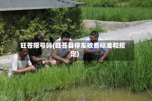 旺苍限号吗(旺苍县停车收费标准和规定)