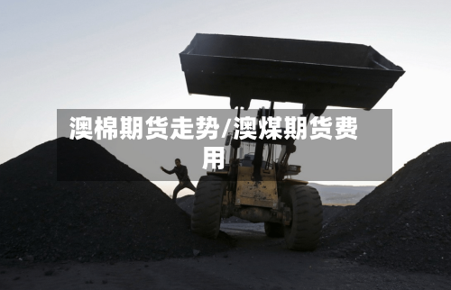 澳棉期货走势/澳煤期货费用