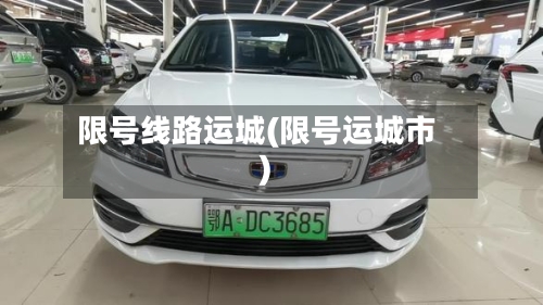 限号线路运城(限号运城市)