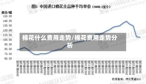棉花什么费用走势/棉花费用走势分析