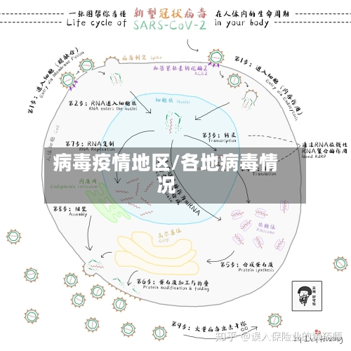 病毒疫情地区/各地病毒情况