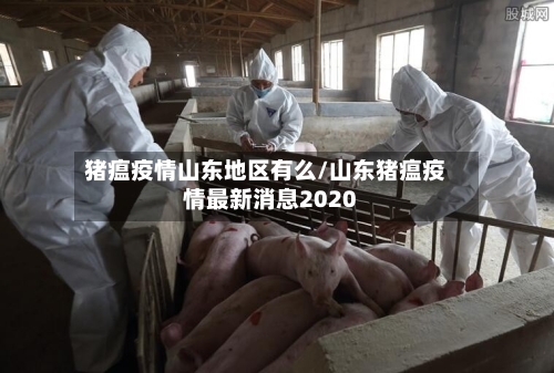 猪瘟疫情山东地区有么/山东猪瘟疫情最新消息2020