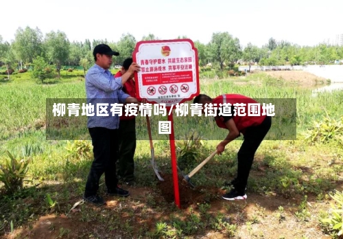柳青地区有疫情吗/柳青街道范围地图