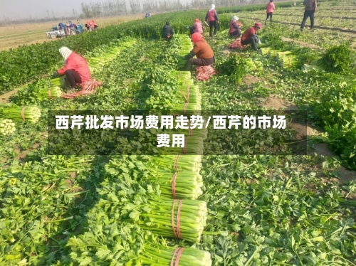 西芹批发市场费用走势/西芹的市场费用