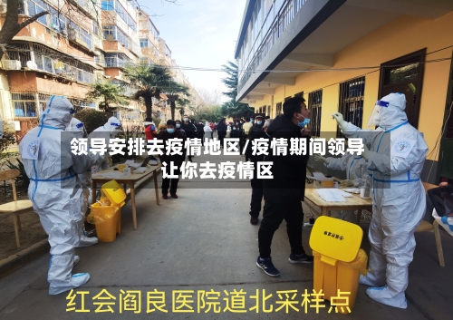 领导安排去疫情地区/疫情期间领导让你去疫情区