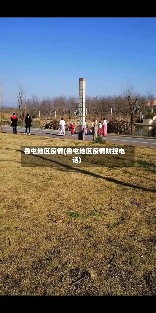 鲁屯地区疫情(鲁屯地区疫情防控电话)