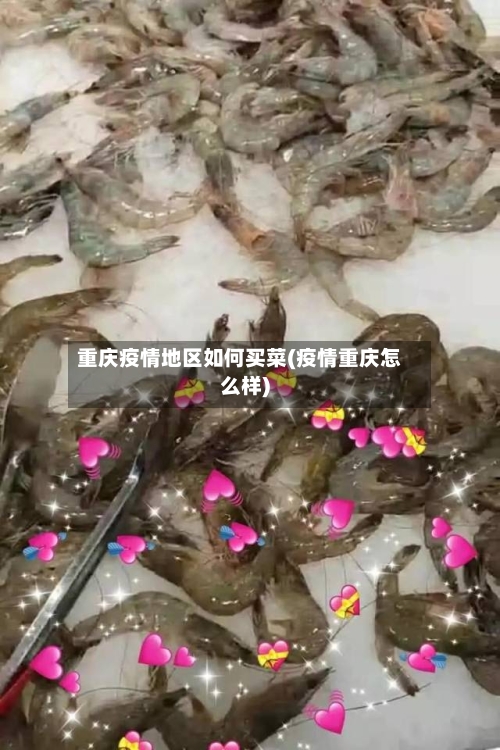 重庆疫情地区如何买菜(疫情重庆怎么样)