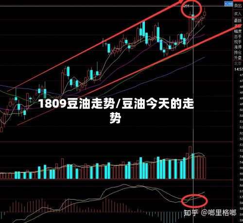 1809豆油走势/豆油今天的走势
