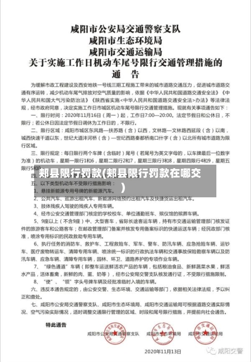 郏县限行罚款(郏县限行罚款在哪交)